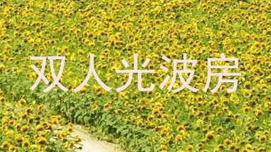 双人光波房