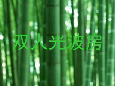 双人光波房