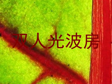 双人光波房