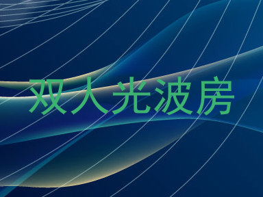 双人光波房