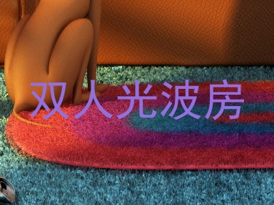 双人光波房