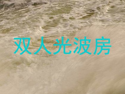 双人光波房
