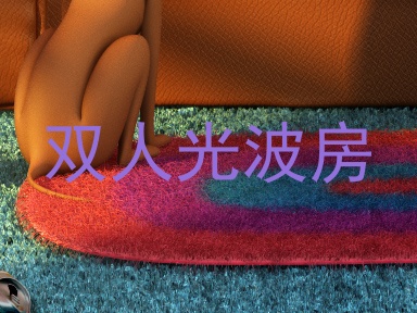双人光波房