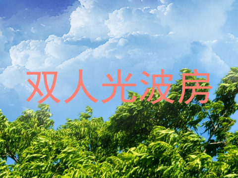 双人光波房