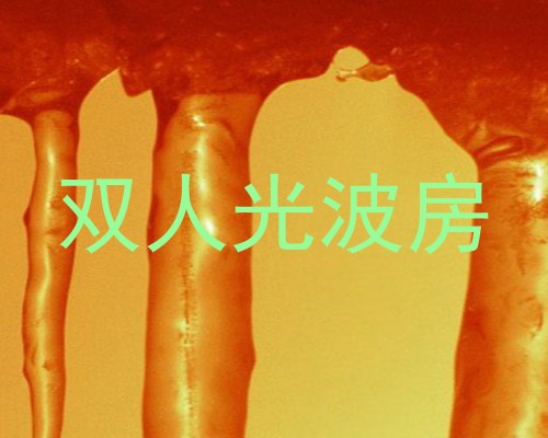 双人光波房