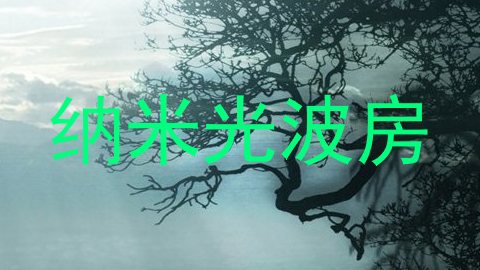 纳米光波房