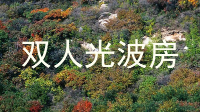 双人光波房