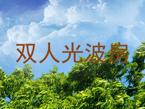 双人光波房