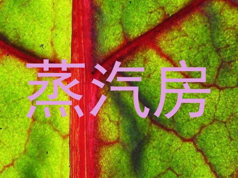 蒸汽房