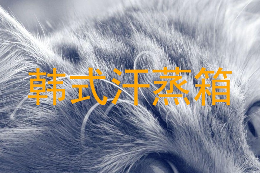 韩式汗蒸箱