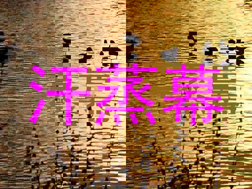 汗蒸幕