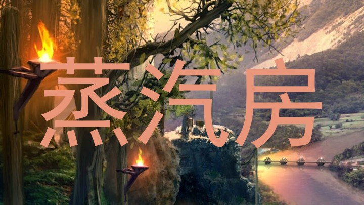 蒸汽房