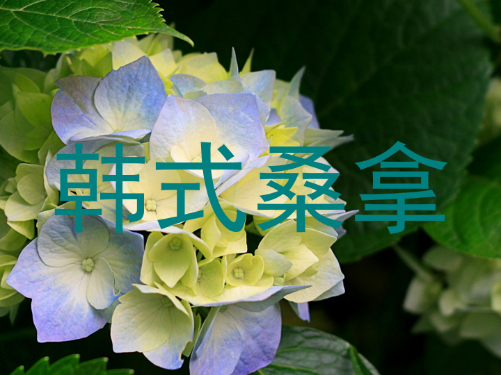韩式桑拿