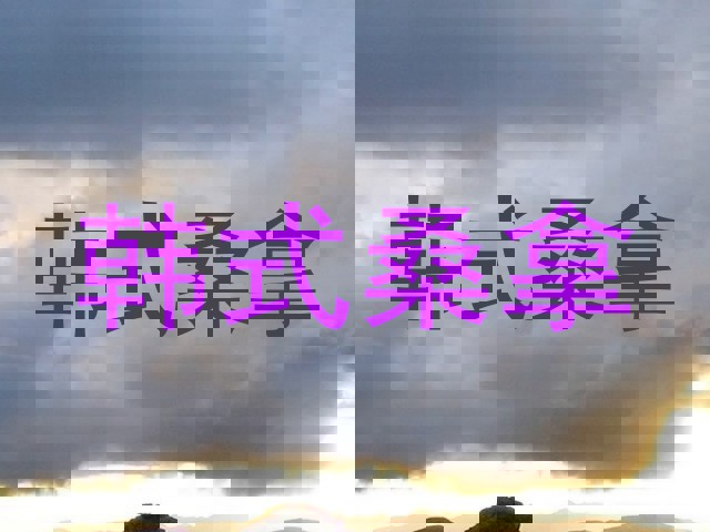 韩式桑拿