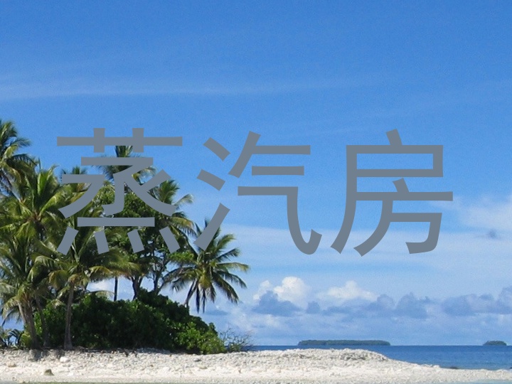 蒸汽房