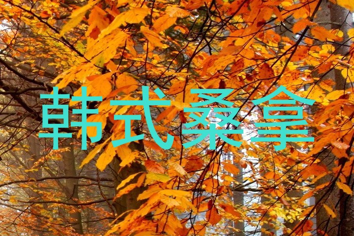 韩式桑拿