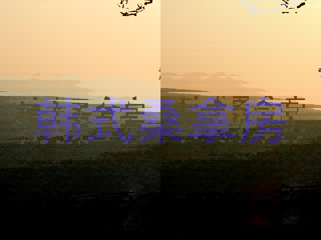 韩式桑拿房