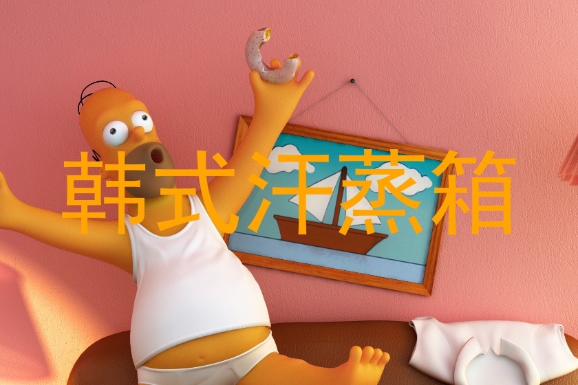 韩式汗蒸箱