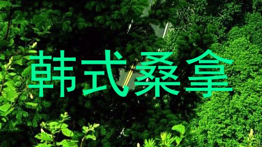 韩式桑拿