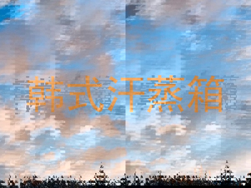 韩式汗蒸箱
