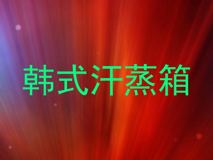 韩式汗蒸箱