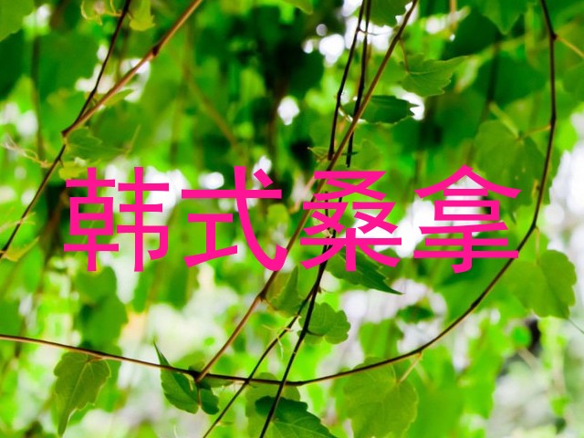 韩式桑拿