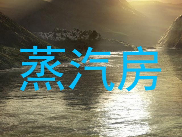 蒸汽房