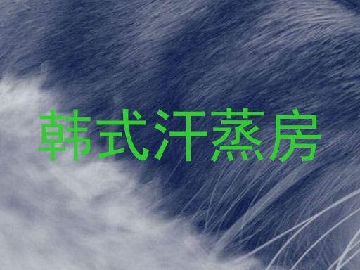 韩式汗蒸房