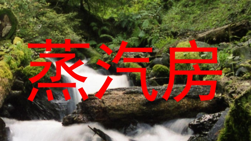 蒸汽房