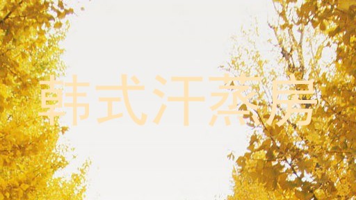 韩式汗蒸房