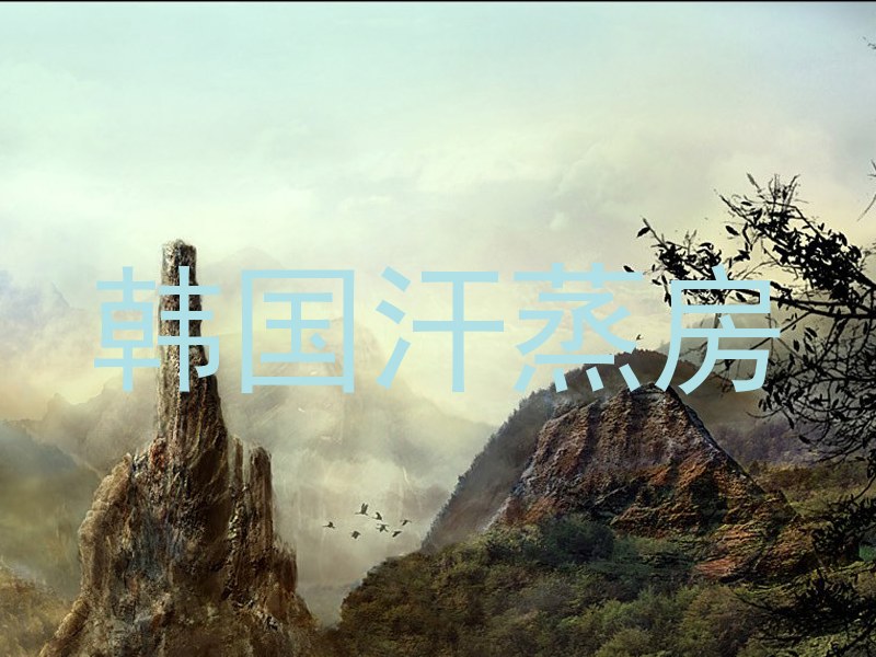 韩国汗蒸房