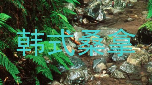 韩式桑拿