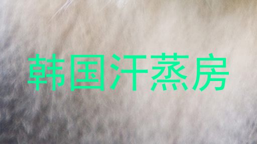 韩国汗蒸房