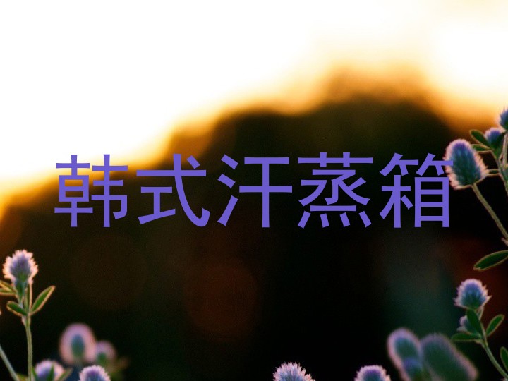 韩式汗蒸箱