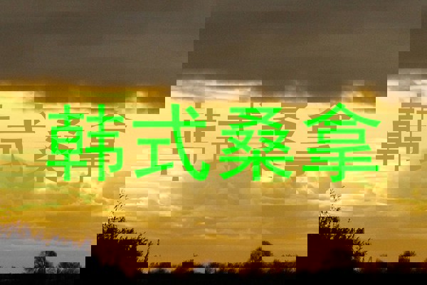 韩式桑拿