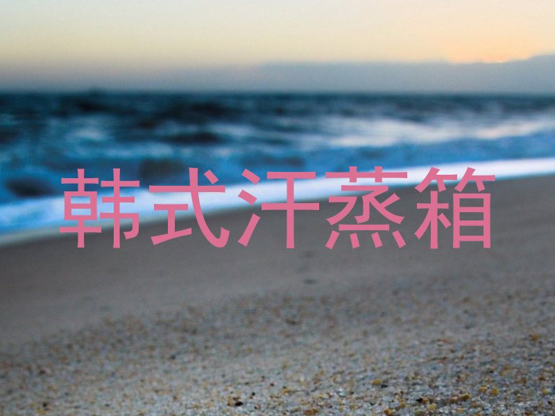 韩式汗蒸箱