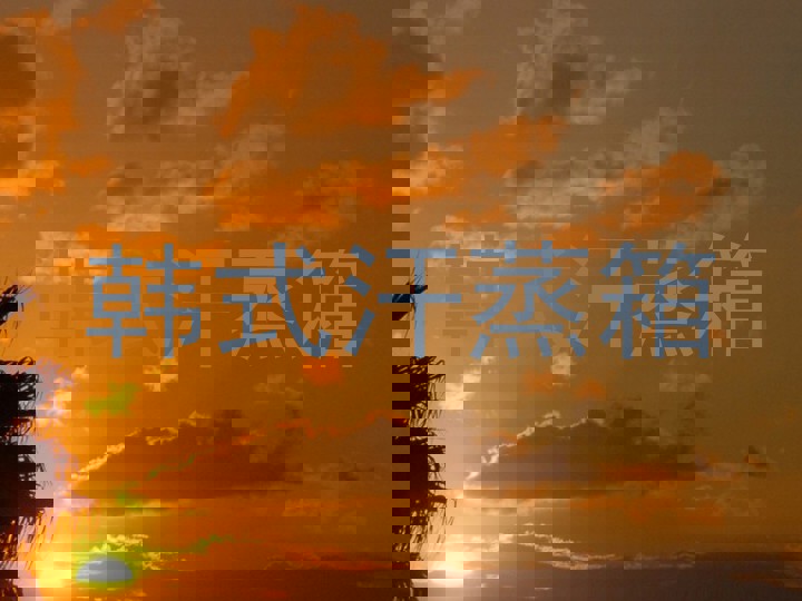 韩式汗蒸箱