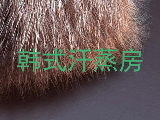 韩式汗蒸房