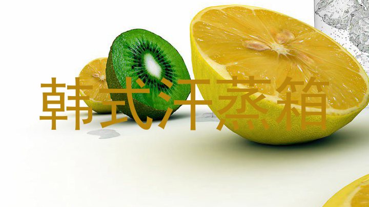 韩式汗蒸箱