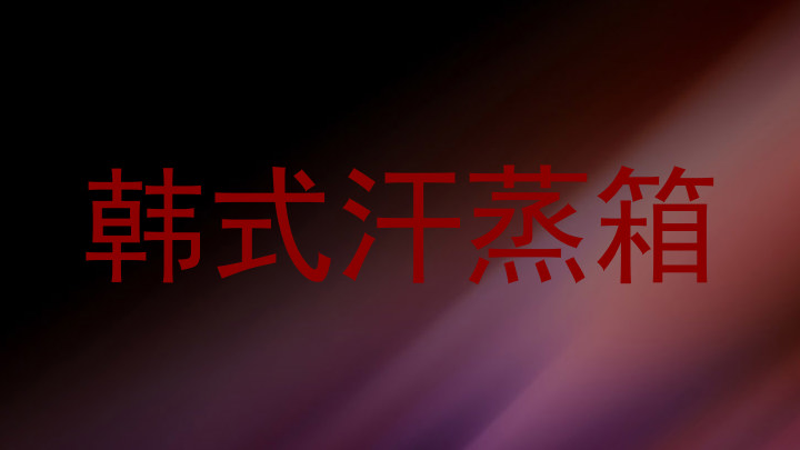 韩式汗蒸箱