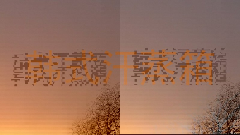 韩式汗蒸箱