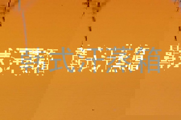 韩式汗蒸箱