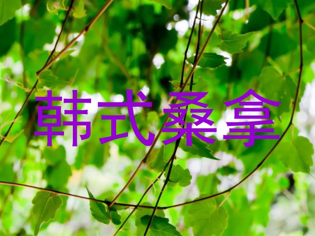 韩式桑拿