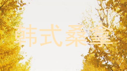 韩式桑拿
