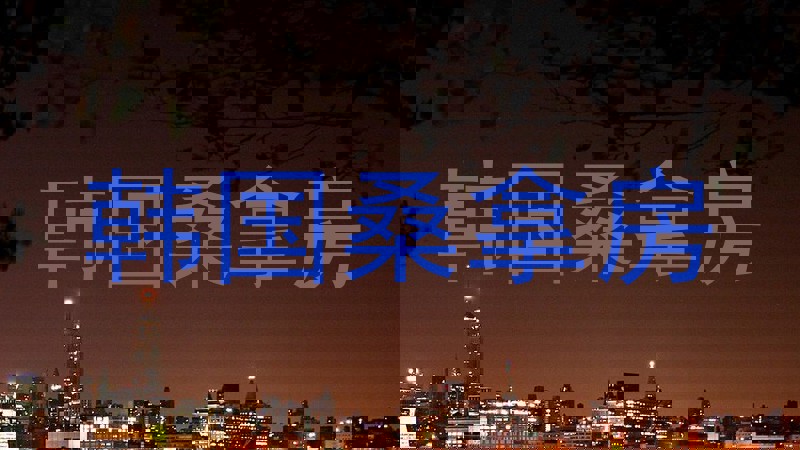 韩国桑拿房