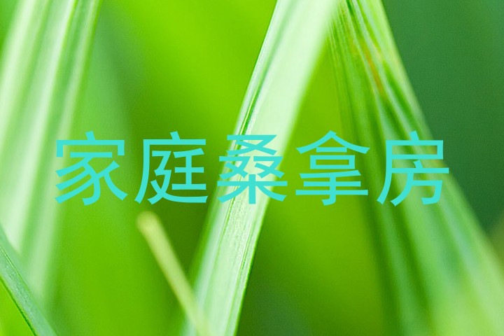 家庭桑拿房