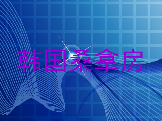 韩国桑拿房