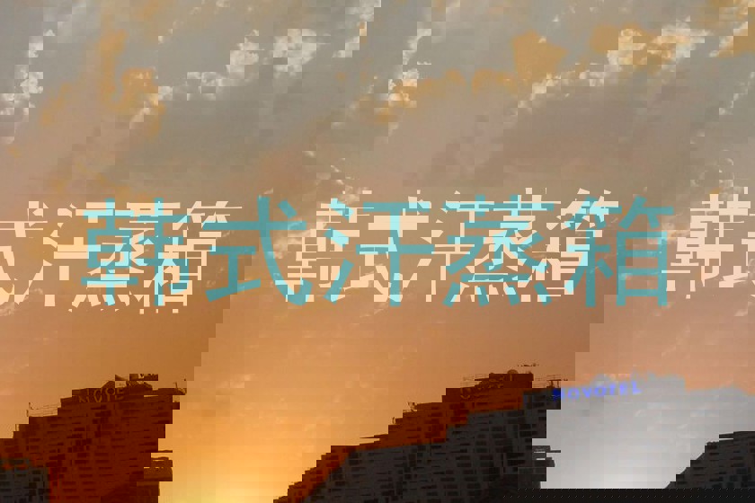 韩式汗蒸箱