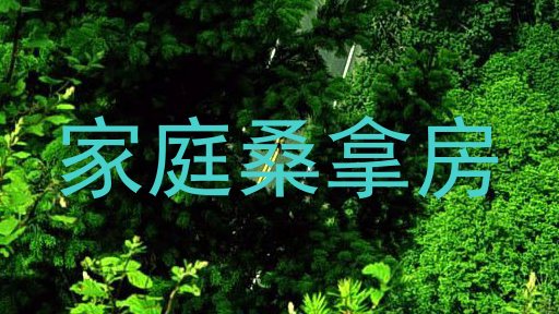 家庭桑拿房