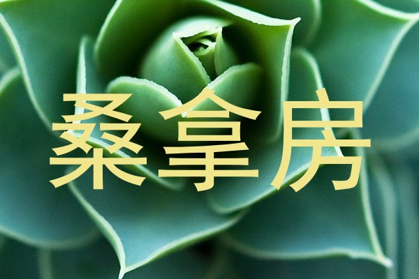 桑拿房
